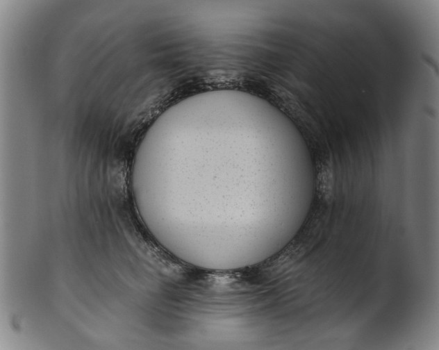 X0000101650662200807241356