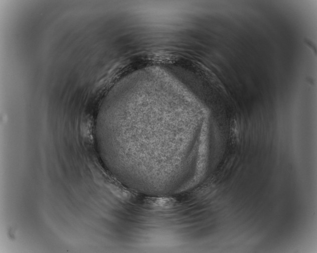 X0000101650663200807241356