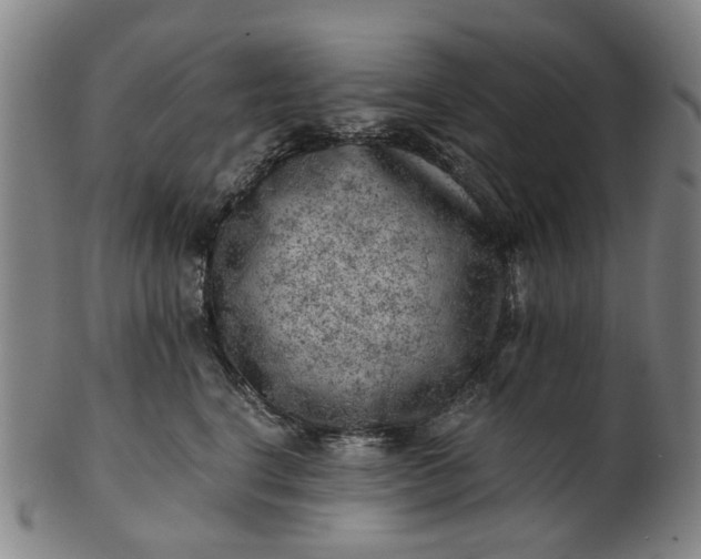 X0000101650664200807241356