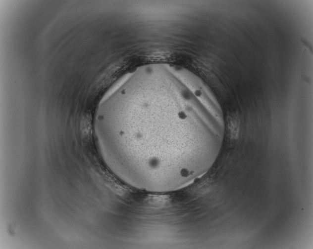 X0000101650665200807241356