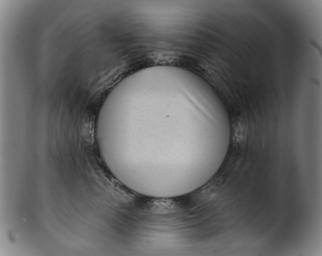 X0000101650666200807241356