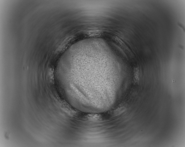 X0000101650667200807241356