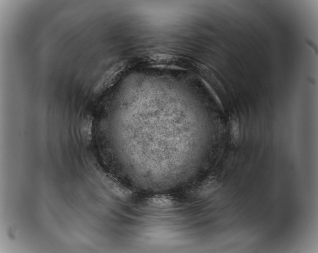 X0000101650668200807241356