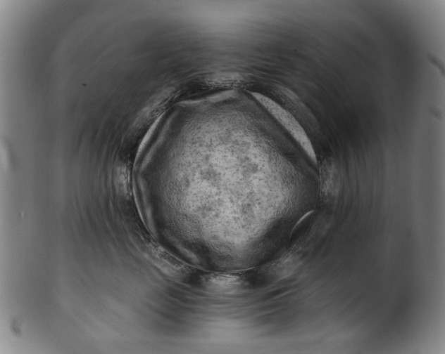 X0000101650669200807241356