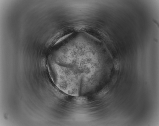 X0000101650670200807241356