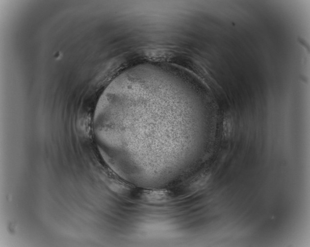 X0000101650671200807241356