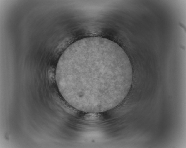 X0000101650672200807241356