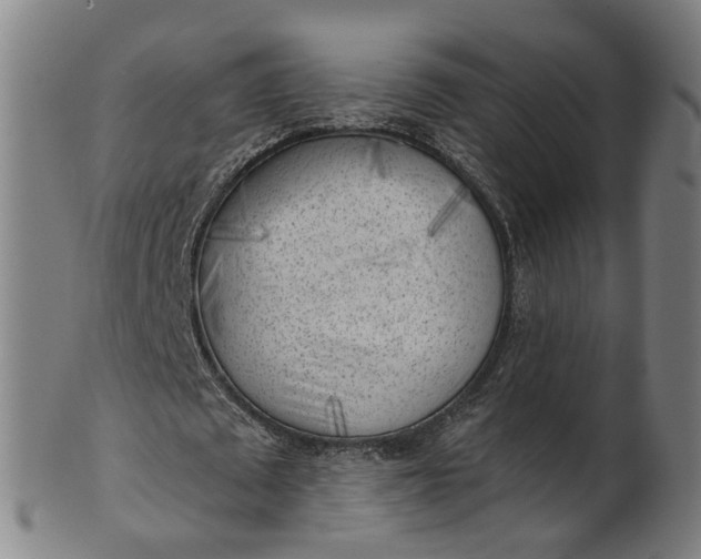 X0000101650673200807241355