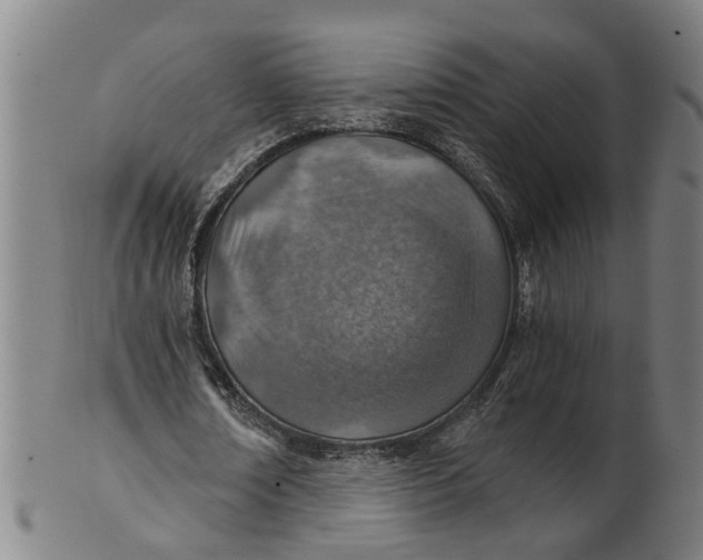 X0000101650674200807241355