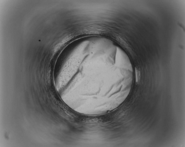 X0000101650675200807241355