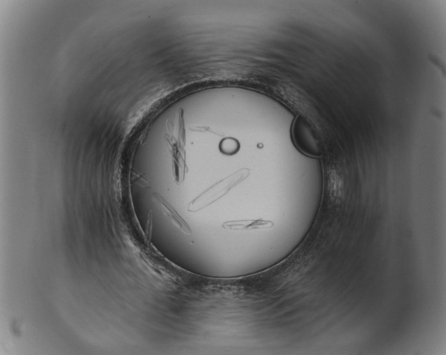 X0000101650676200807241355