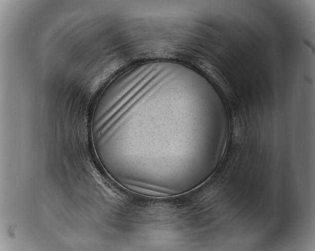 X0000101650677200807241355