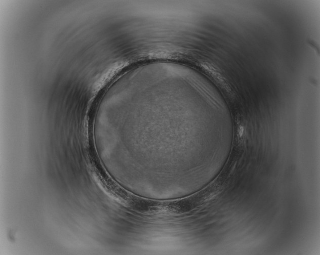 X0000101650678200807241355