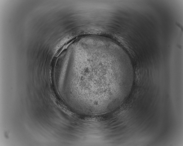 X0000101650679200807241355