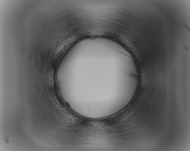 X0000101650681200807241355