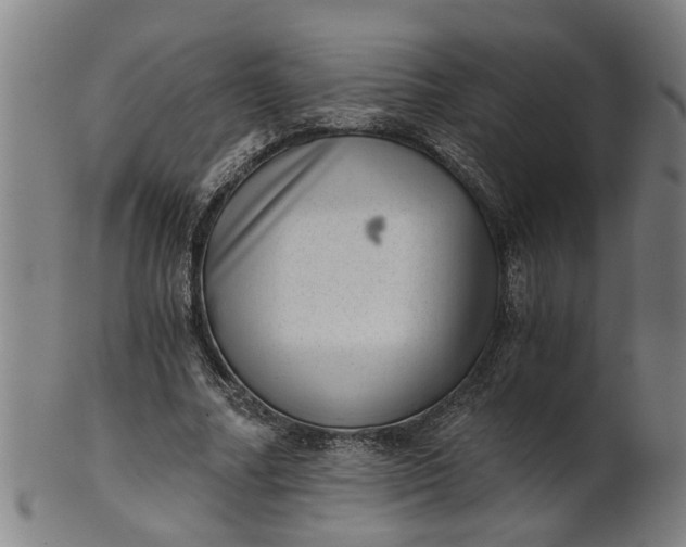 X0000101650682200807241355