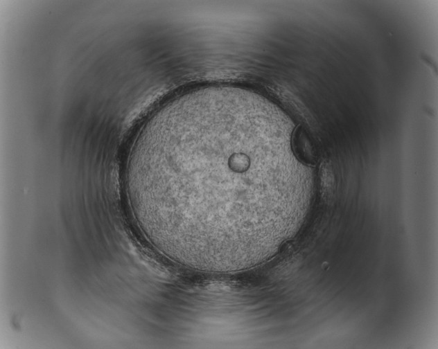 X0000101650684200807241355