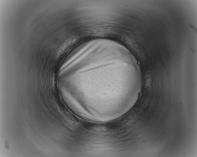 X0000101650685200807241355