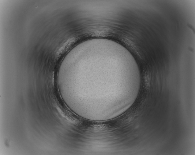 X0000101650686200807241355