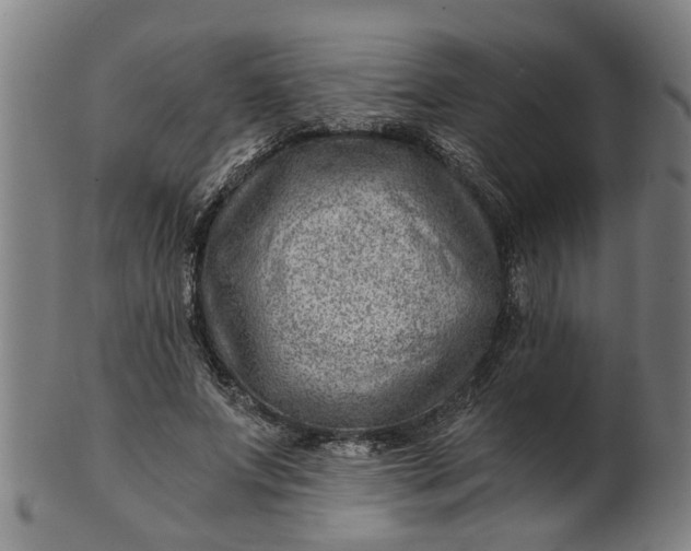 X0000101650687200807241355