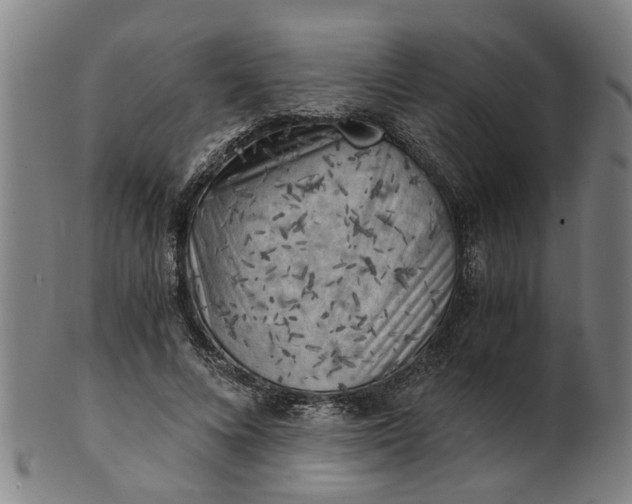 X0000101650688200807241355