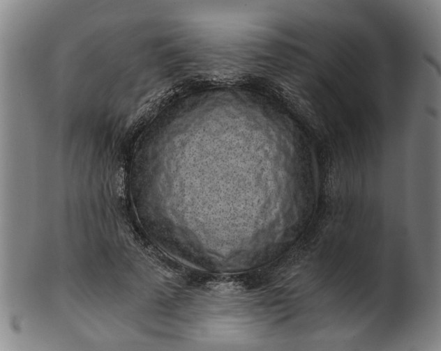 X0000101650689200807241355