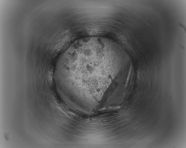 X0000101650691200807241355