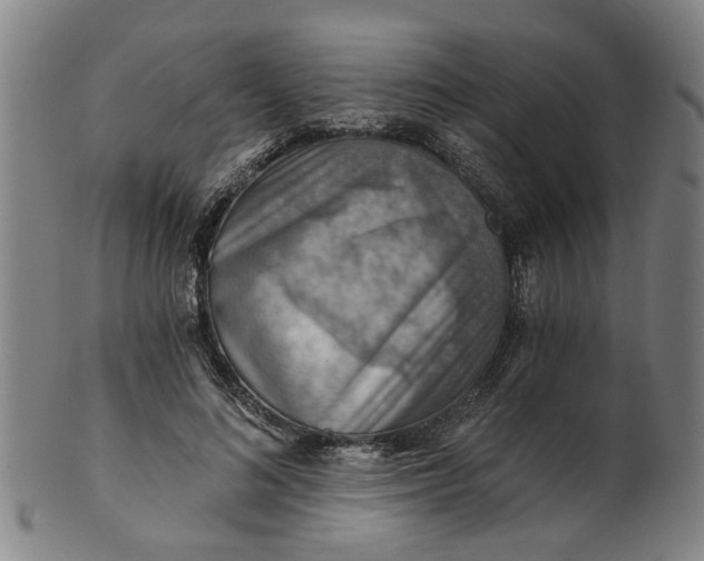 X0000101650692200807241355