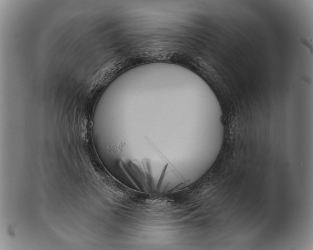 X0000101650693200807241355