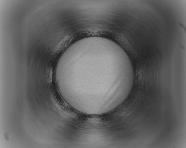 X0000101650694200807241355