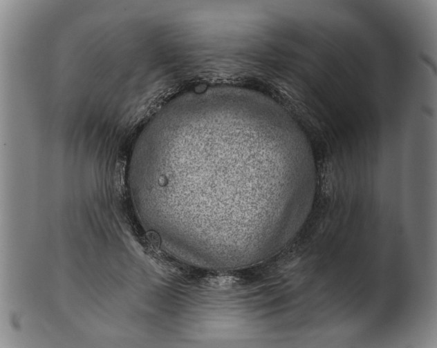 X0000101650695200807241355