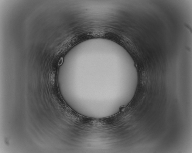 X0000101650697200807241355