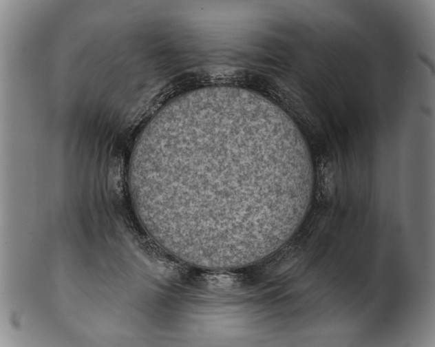 X0000101650698200807241355