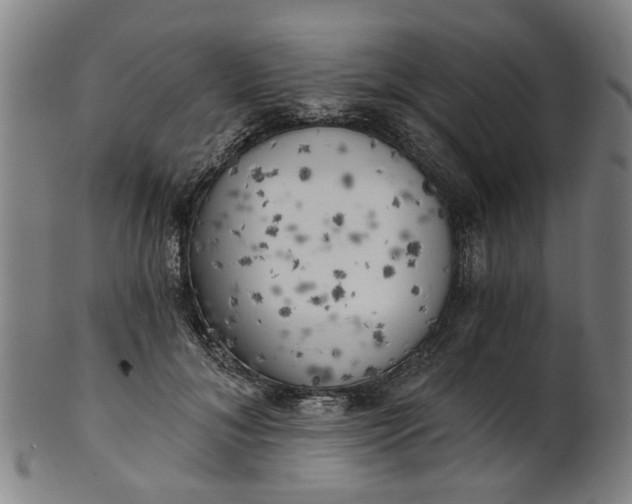 X0000101650700200807241355