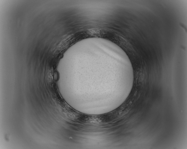 X0000101650702200807241355