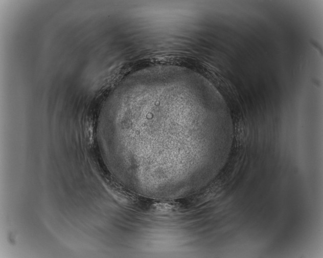 X0000101650703200807241355