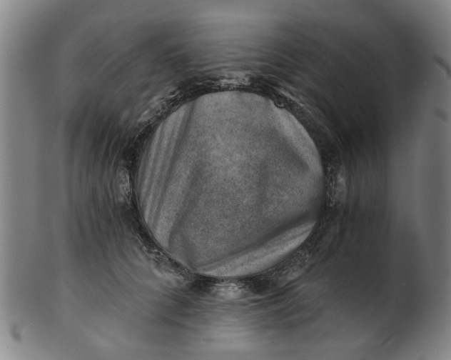 X0000101650704200807241355