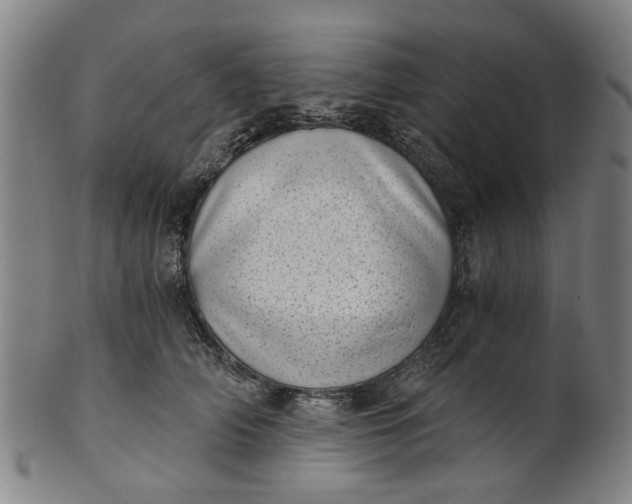 X0000101650706200807241355