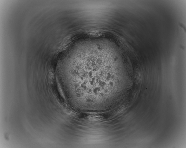 X0000101650707200807241355