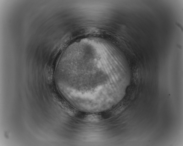 X0000101650708200807241355