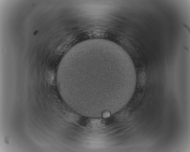 X0000101650709200807241355