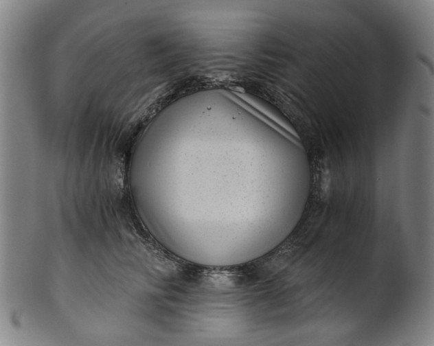 X0000101650710200807241355