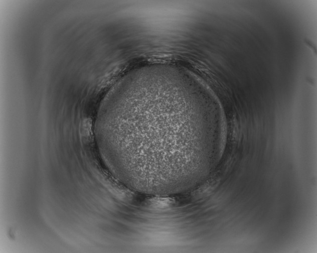 X0000101650711200807241355