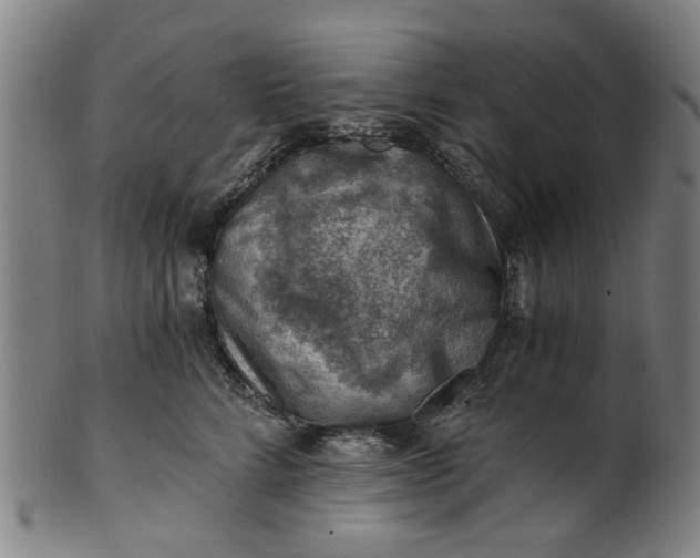 X0000101650712200807241355