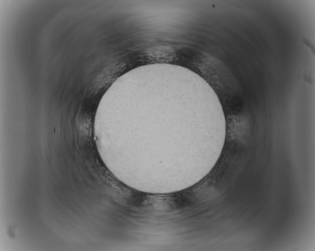 X0000101650713200807241355