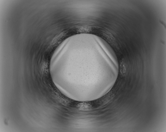 X0000101650714200807241355