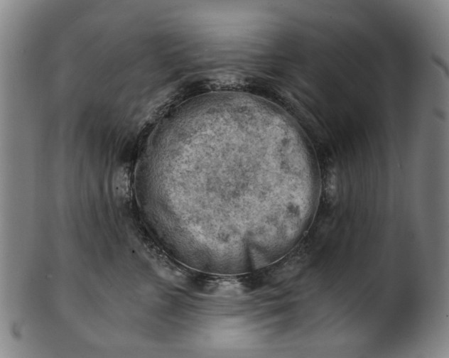 X0000101650715200807241355