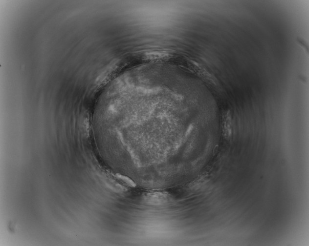 X0000101650716200807241355