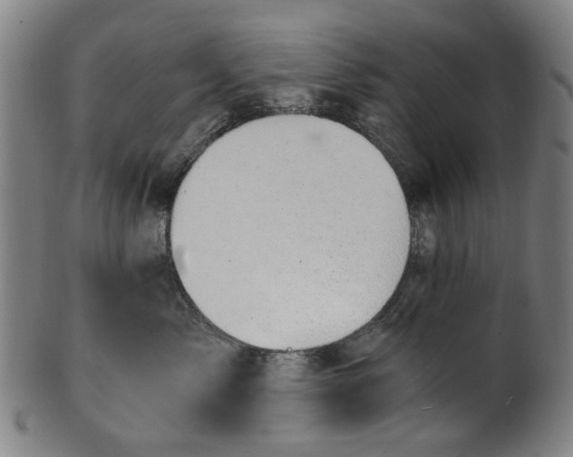 X0000101650717200807241355