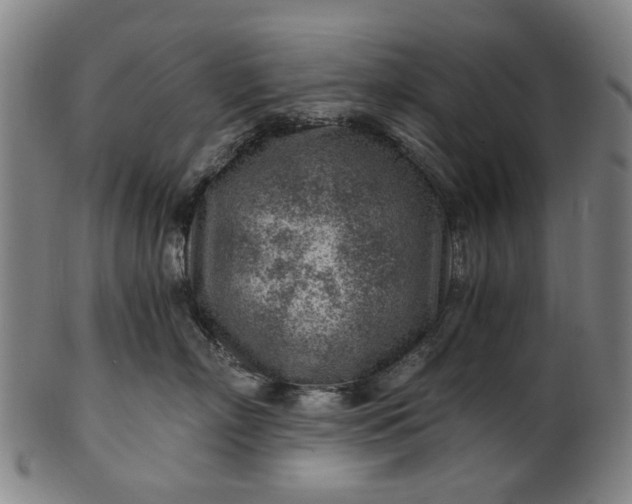 X0000101650718200807241355